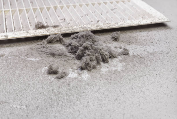 Best General Air Duct Cleaning  in Percy, IL
