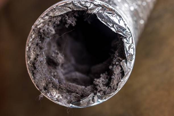 Best HVAC Air Duct Cleaning  in Percy, IL
